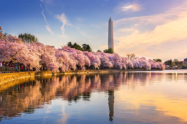 Scenic view of Tidal Basin in Washington D.C.